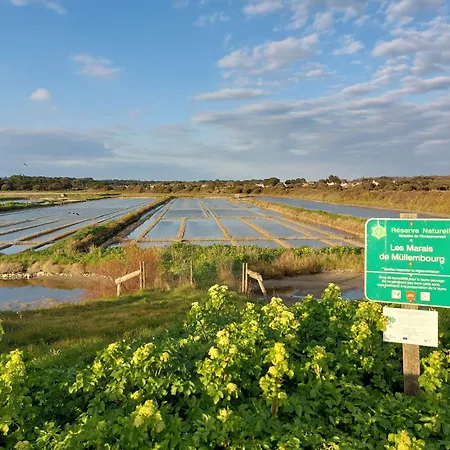 Coquelicot By Interhome * Noirmoutier-en-l'Ile